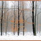 Winterwald