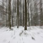 Winterwald