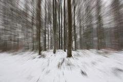 Winterwald