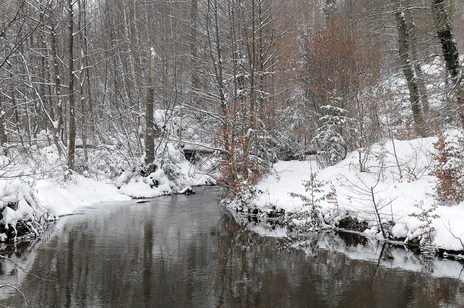 Winterwald