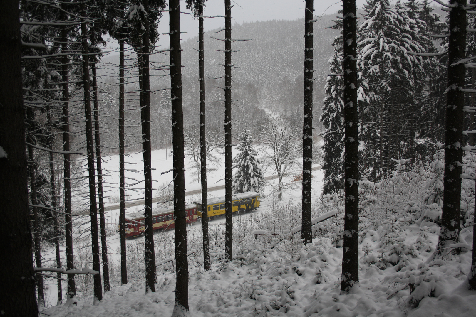 Winterwald