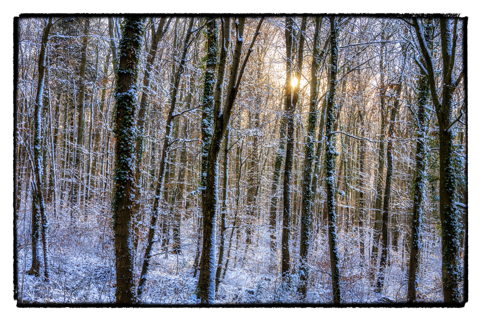 Winterwald