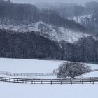 Winterwald