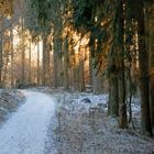 Winterwald