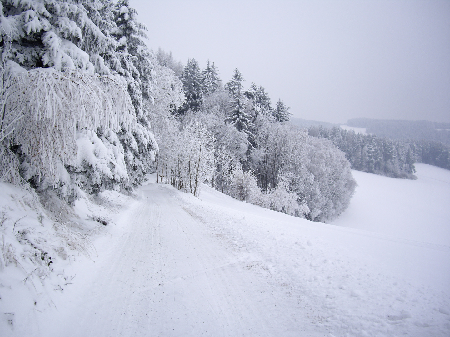 Winterwald