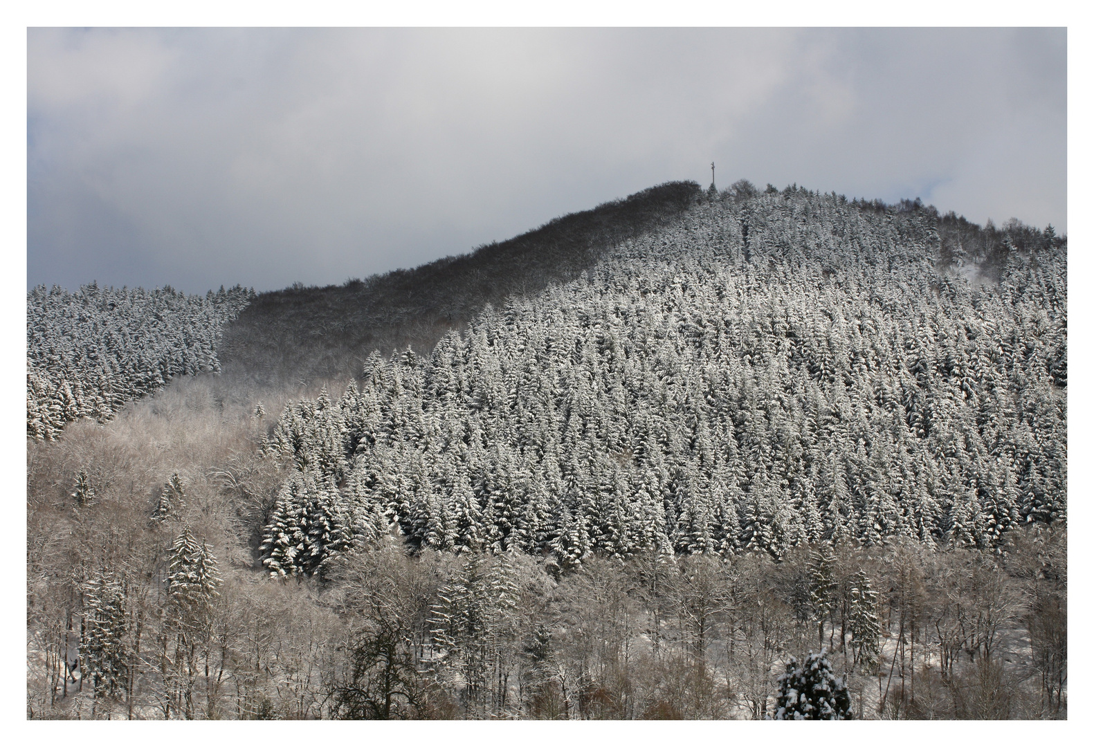 Winterwald