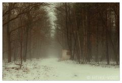 Winterwald