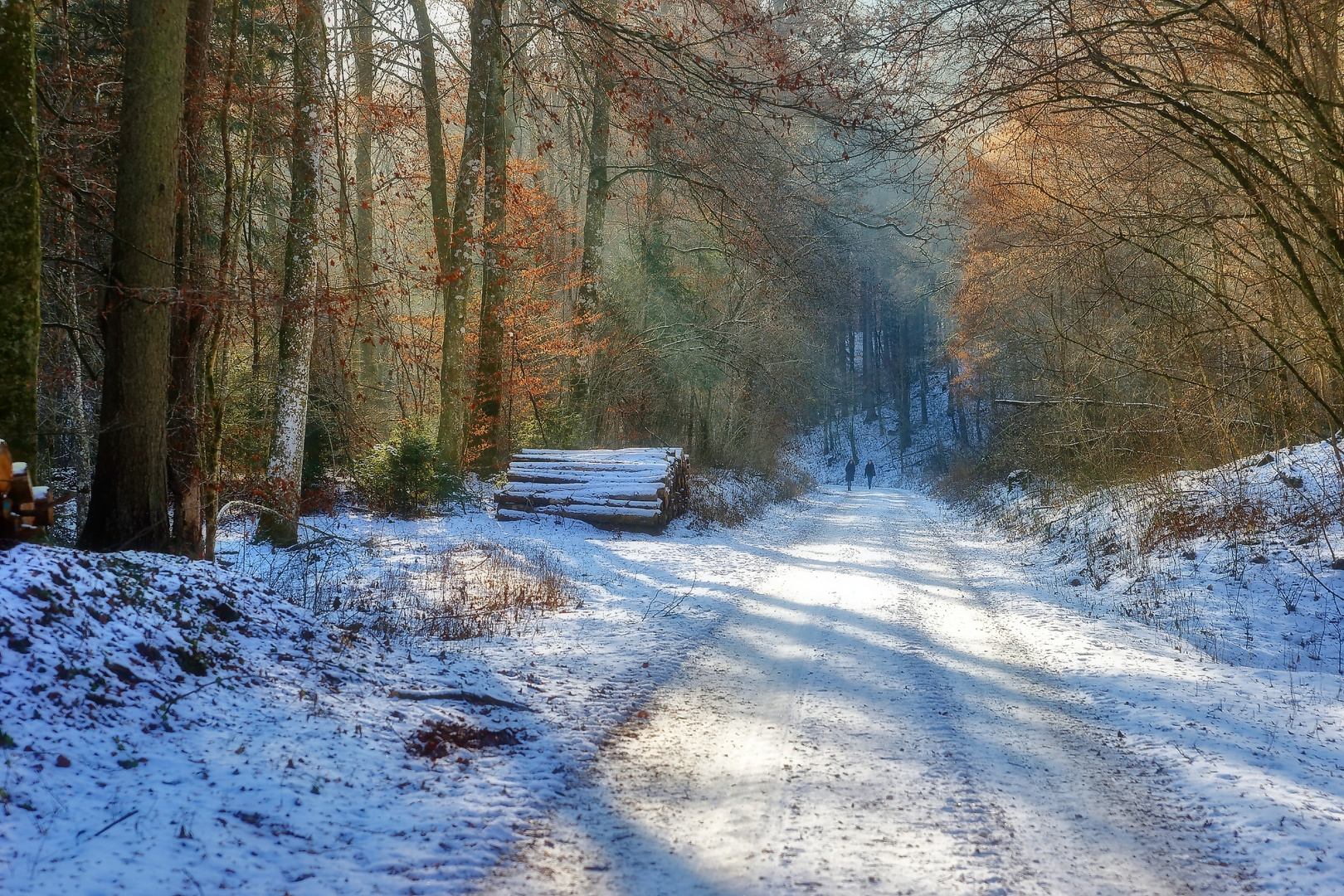 Winterwald