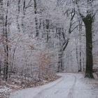 Winterwald am Oelberg
