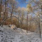 *Winterwald an der Teufelsley*