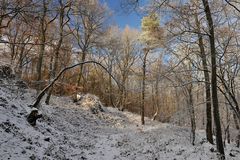 *Winterwald an der Teufelsley*