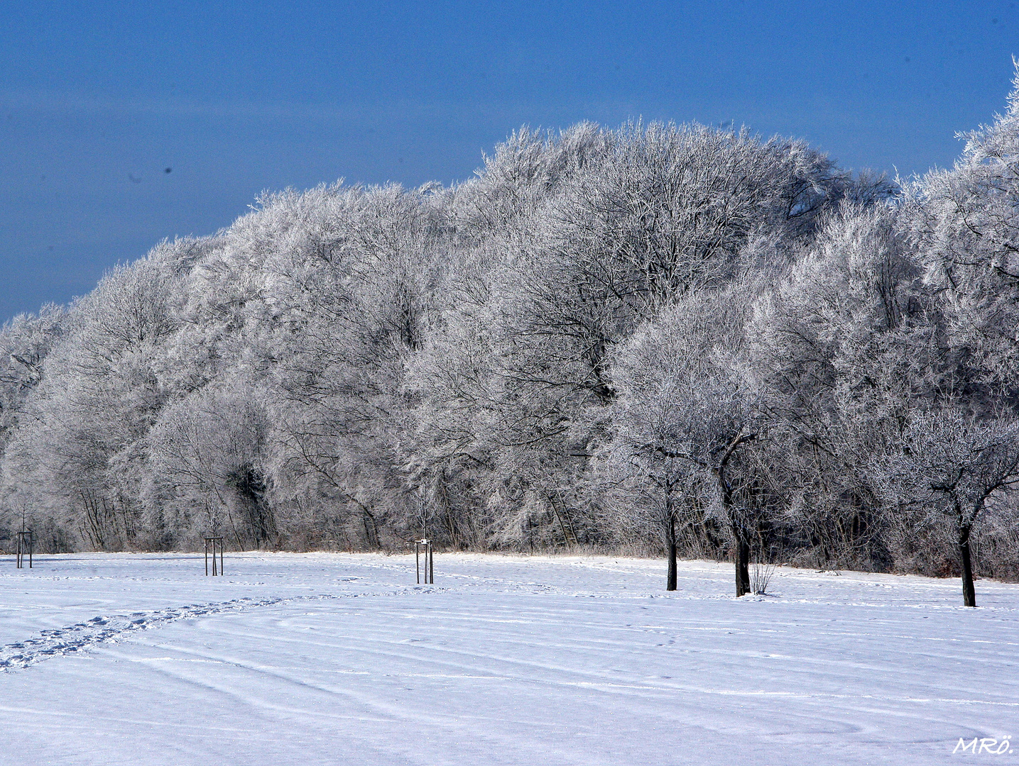 Winterwald auf der Schwäbischen Alb...