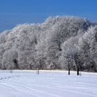 Winterwald auf der Schwäbischen Alb...