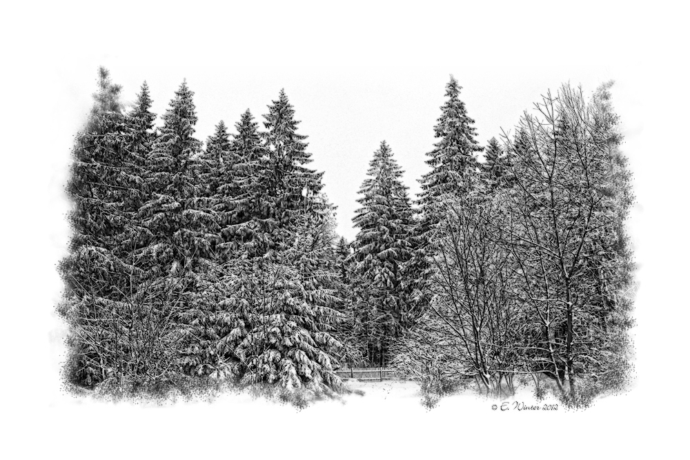 WINTERWALD