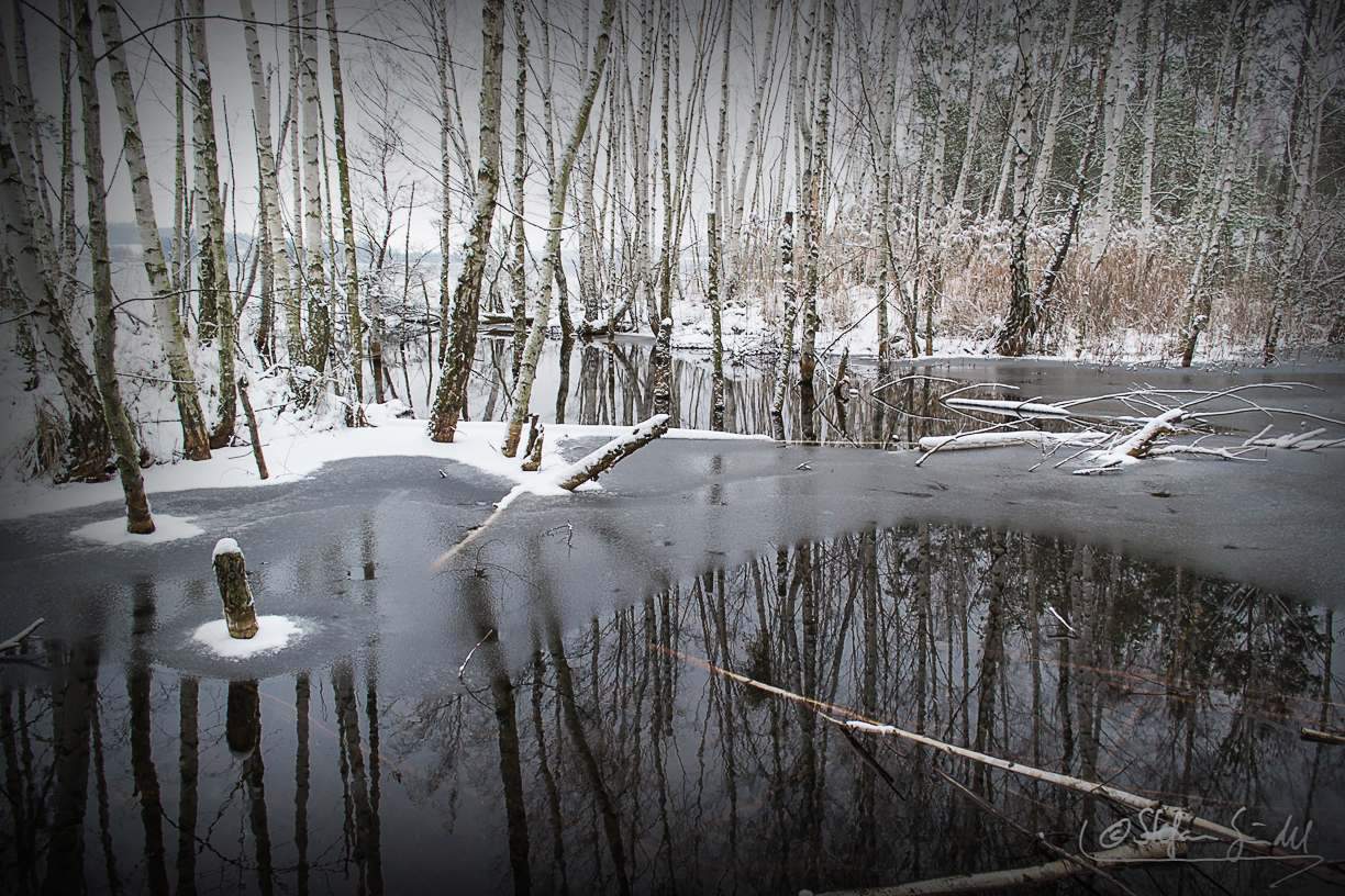 ...Winterwald...