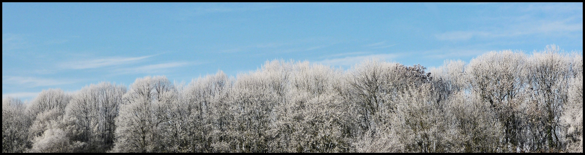 Winterwald