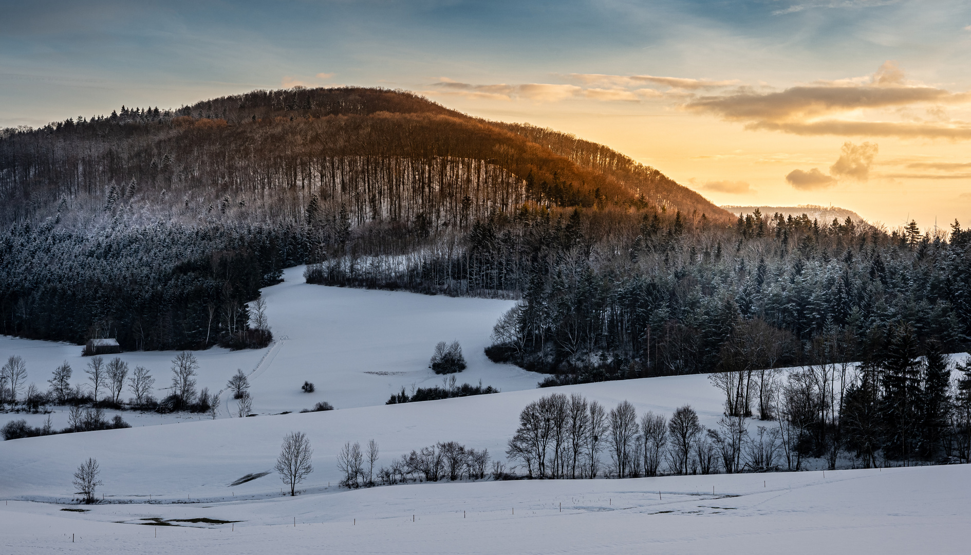 Winterwald