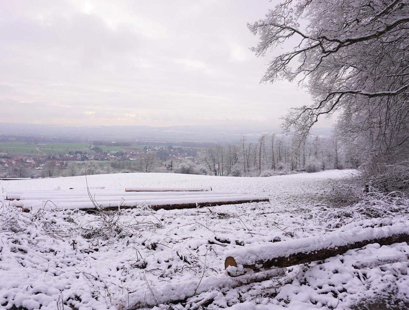 Winterwald