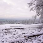 Winterwald