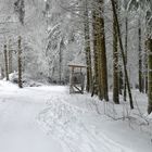 ...Winterwald...