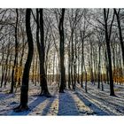 - WINTERWALD - 