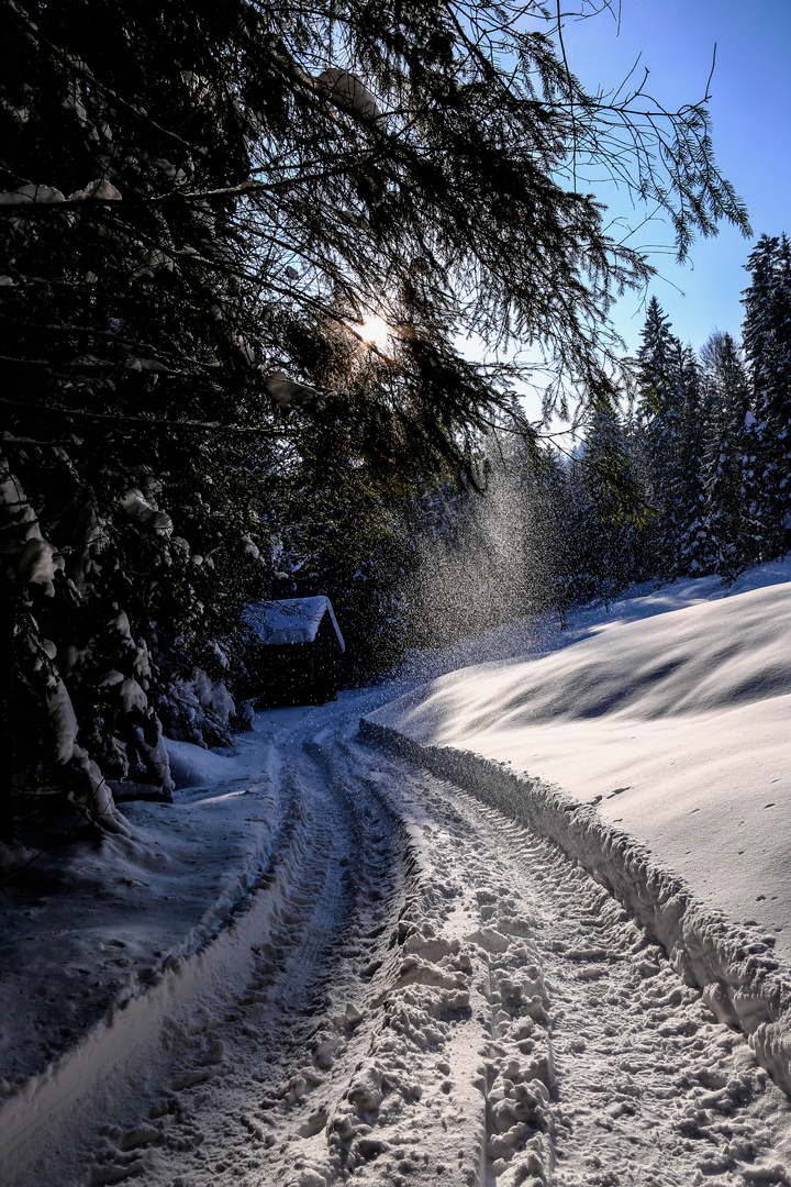 Winterwald