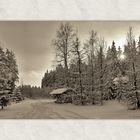 Winterwald