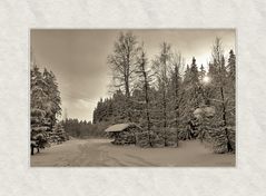 Winterwald