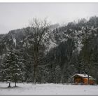 Winterwald