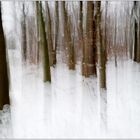 Winterwald