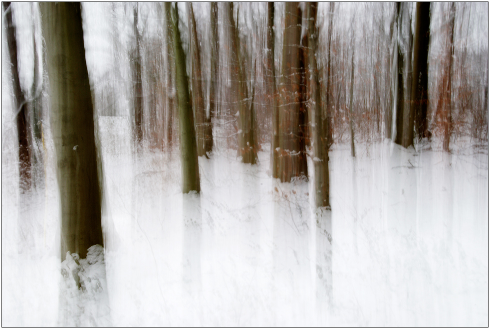 Winterwald