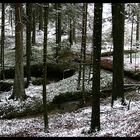 Winterwald