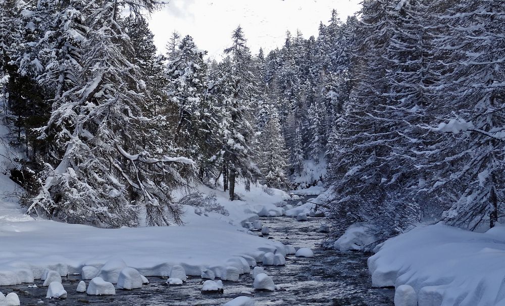 Winterwald Foto & Bild landschaft, jahreszeiten, winter Bilder auf