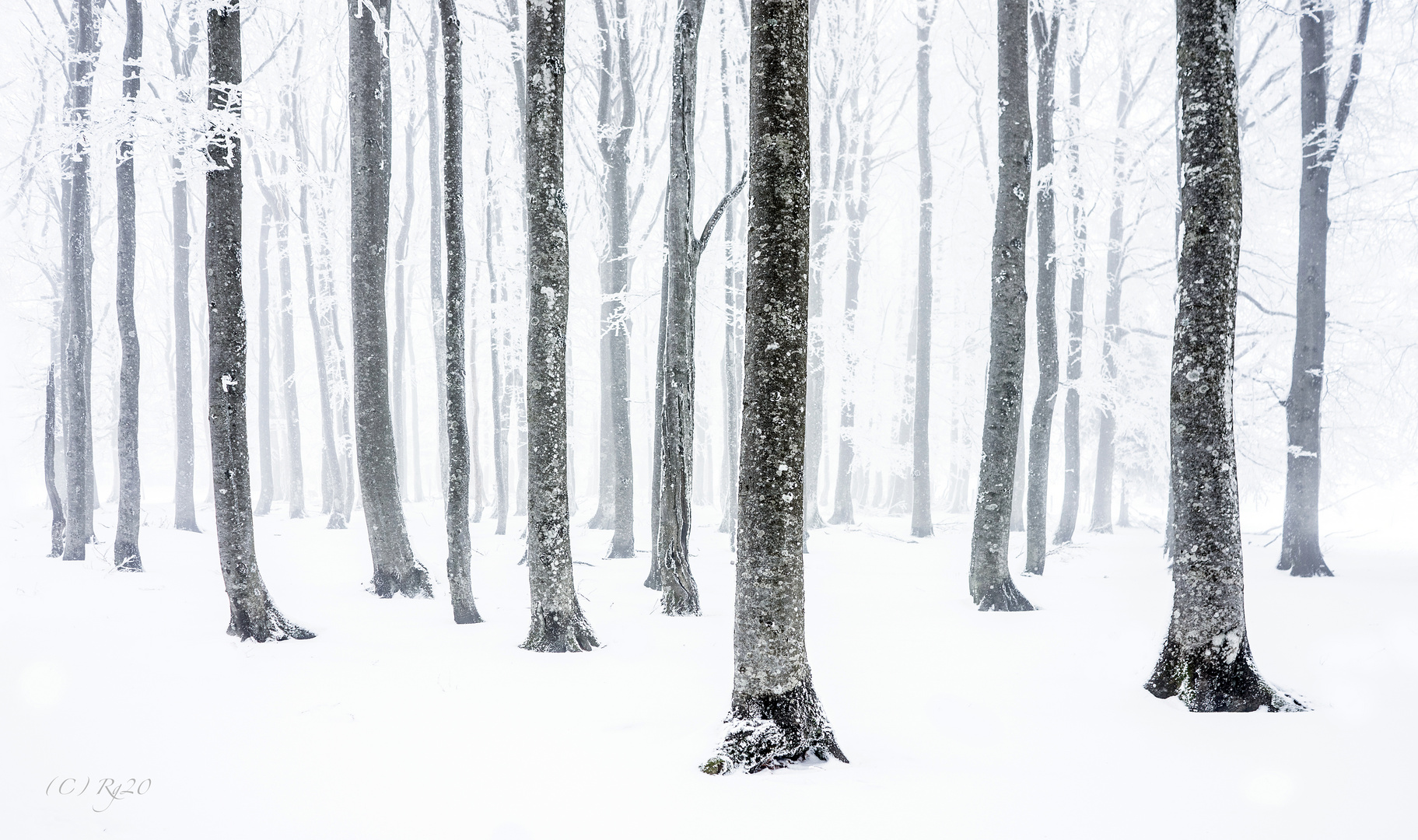 winterwald