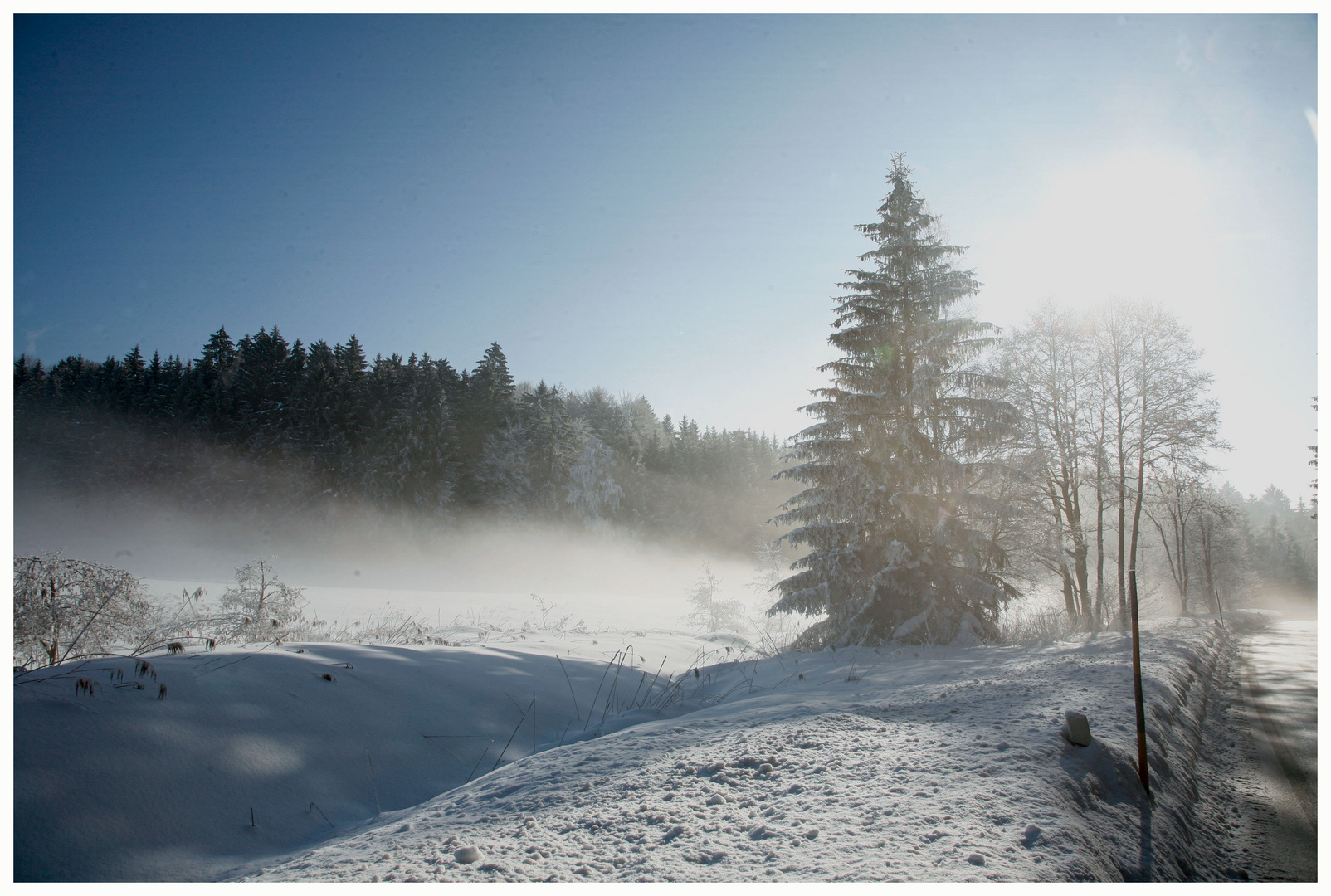 Winterwald 