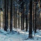 Winterwald