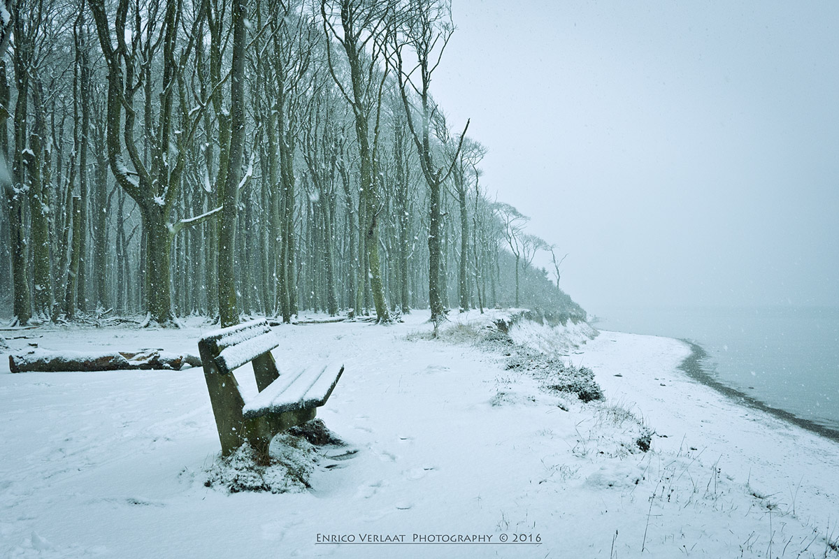 Winterwald- Gespensterwald