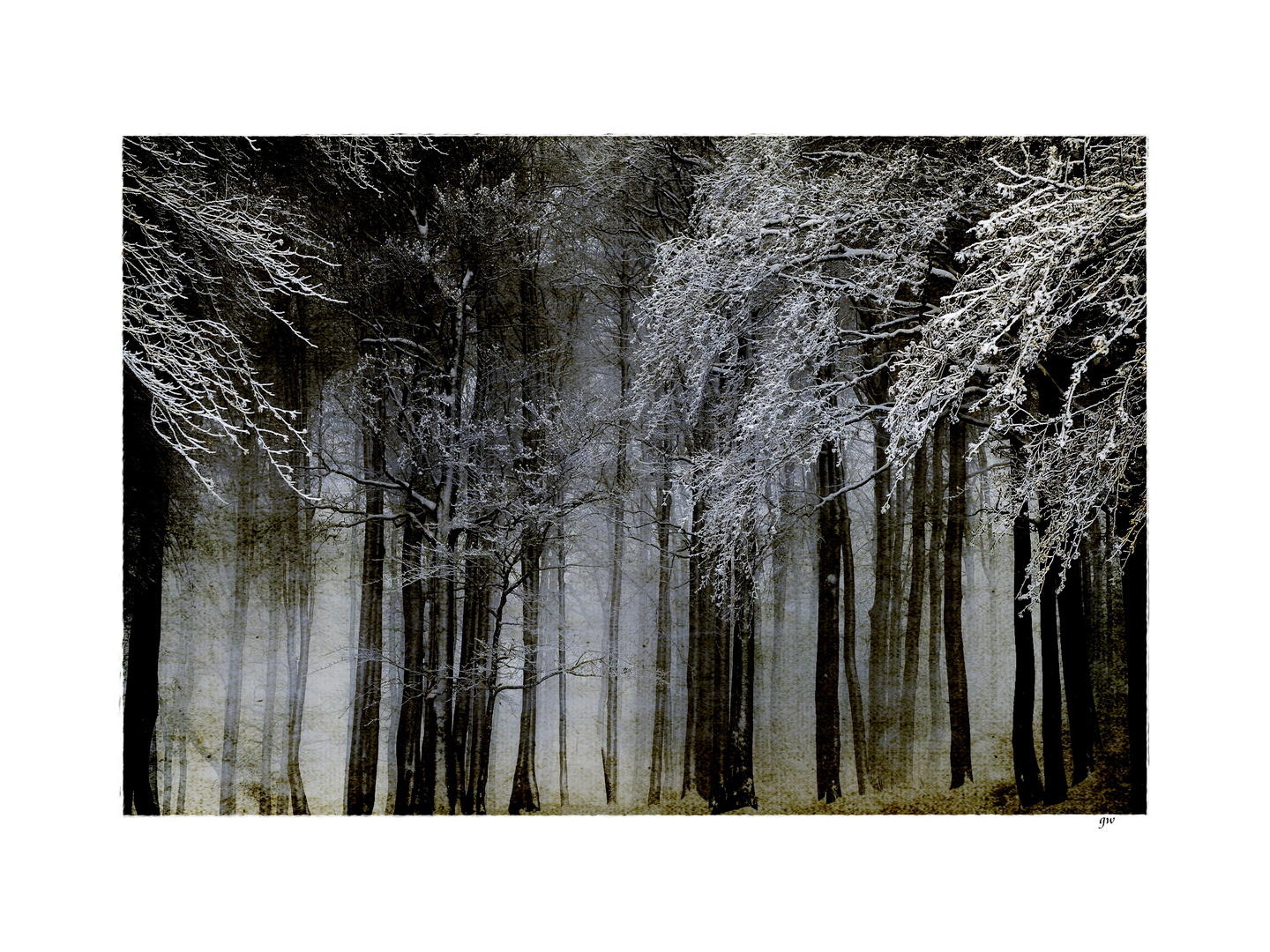 - winterwald II -