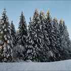 Winterwald II