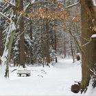 Winterwald II