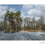 Winterwald II