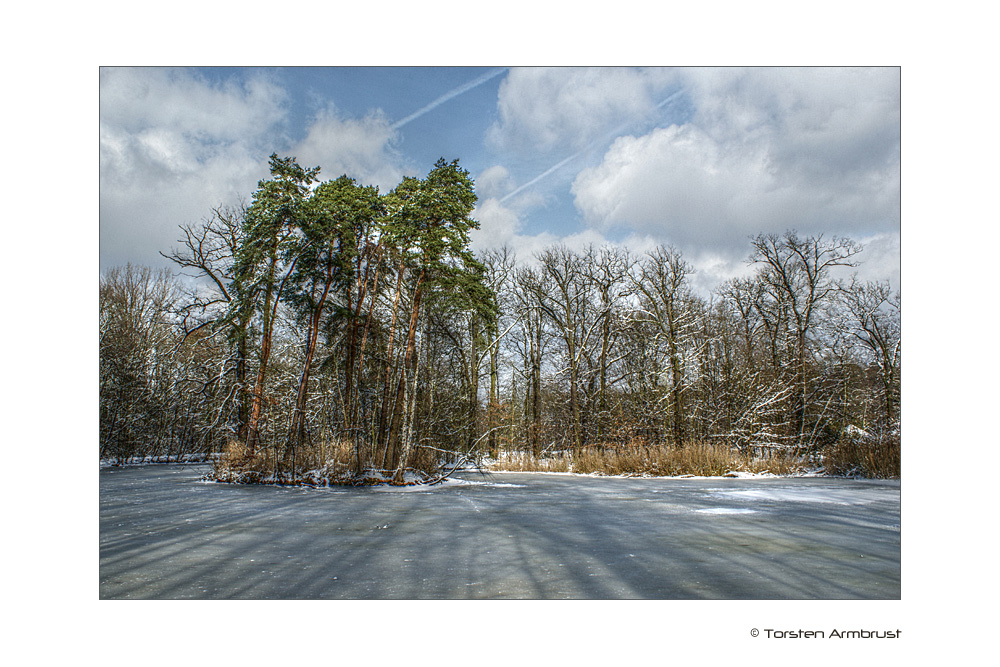 Winterwald II