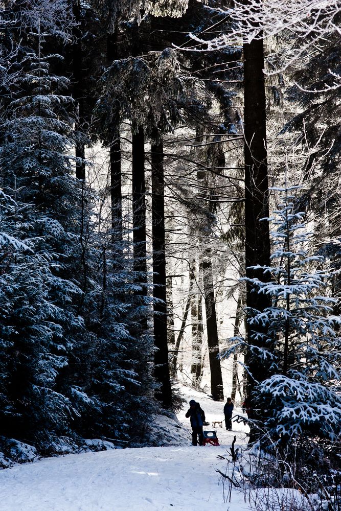 Winterwald III