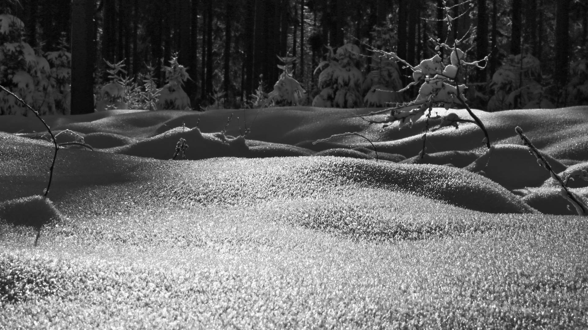 Winterwald im Ebbegebirge (2017_01_19_EOS 6D_2780sw_ji)