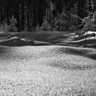 Winterwald im Ebbegebirge (2017_01_19_EOS 6D_2780sw_ji)