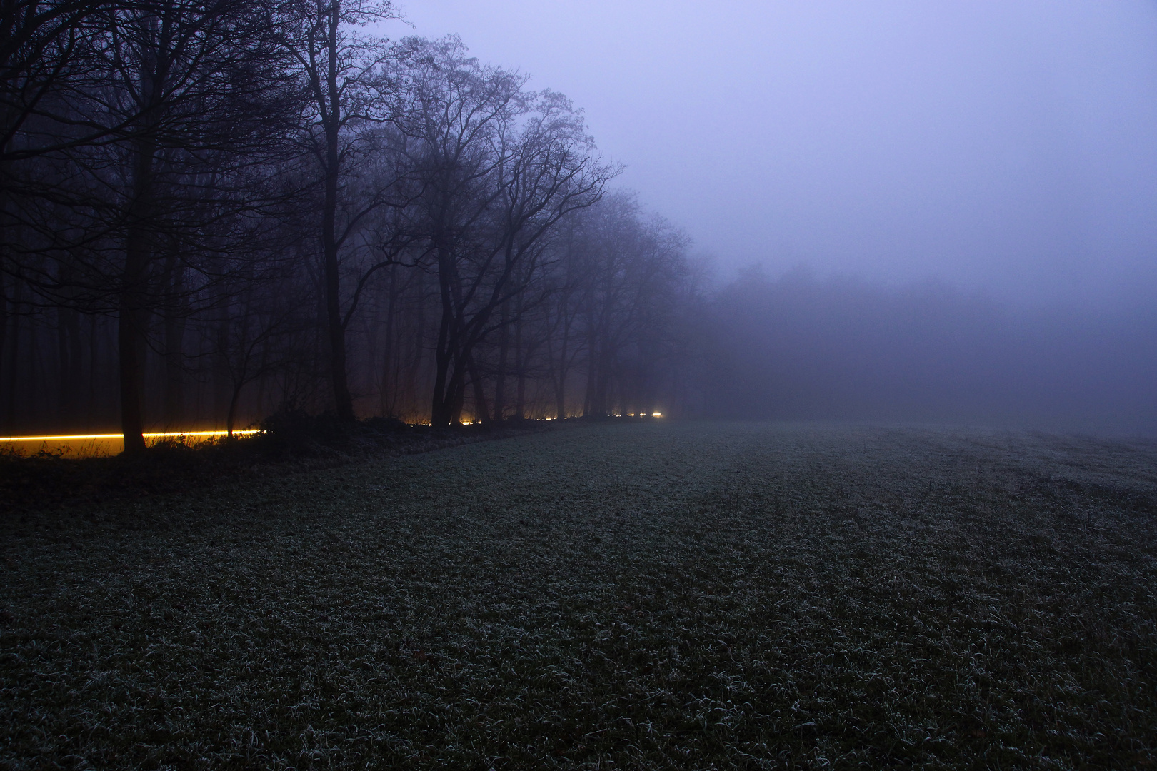 Winterwald im Nebel