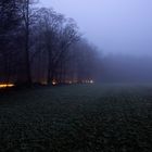 Winterwald im Nebel