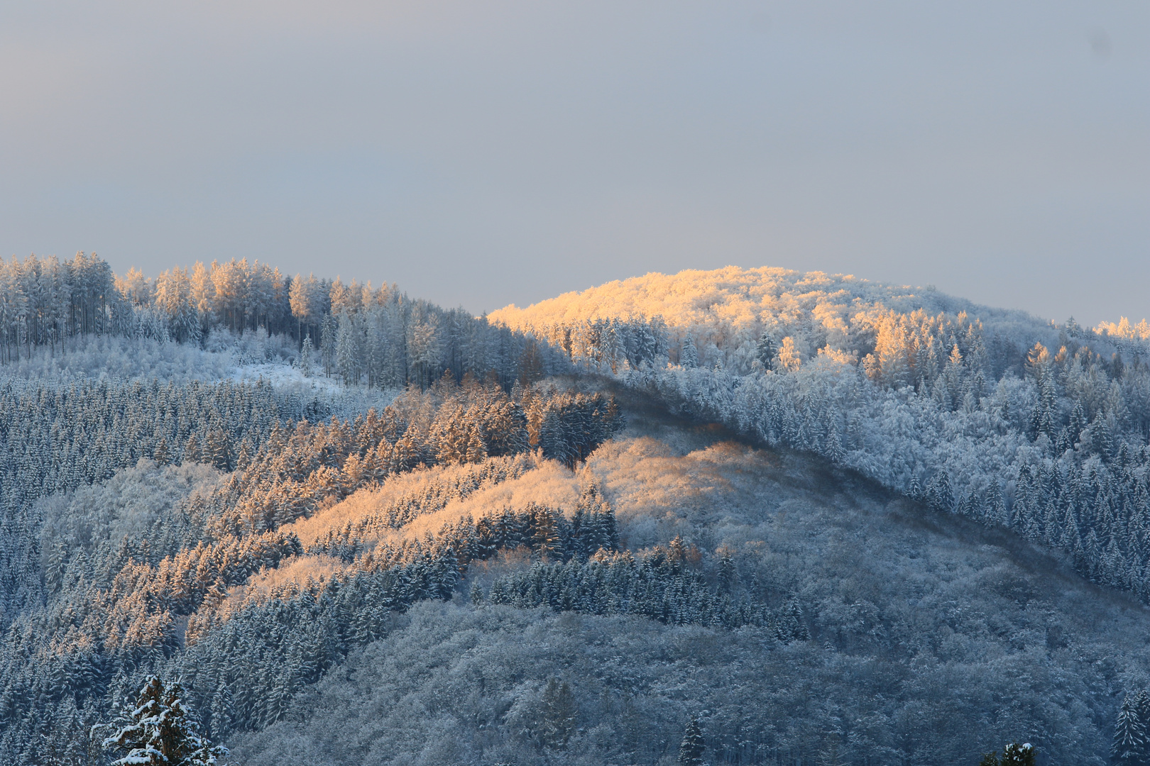 Winterwald im Sauerland