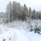 Winterwald im Sauerland