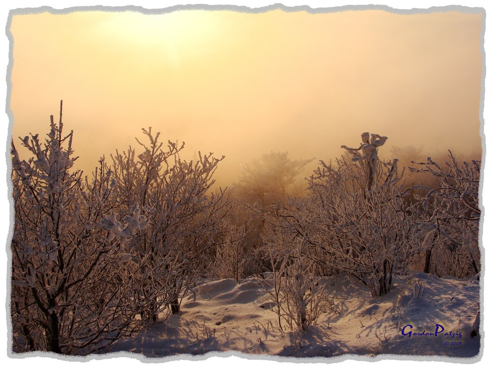 Winterwald im Sonnenuntergang